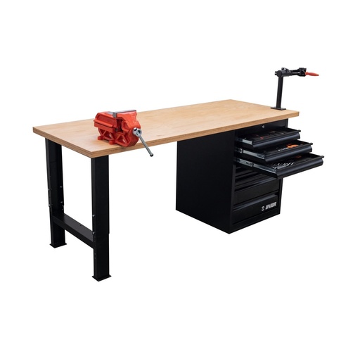 [13.BIKE.2600.D.R] UNIOR BIKE - HANGWERKBANK