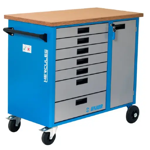 [13.940.H4] UNIOR - SERVANTE HERCULES 4